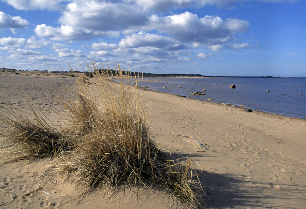 Kaskisten, Kalajoen sekä Kemin merivartioasemien toiminta lakkaa vuoden vaihteessa.